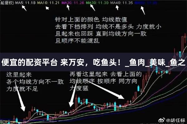 便宜的配资平台 来万安，吃鱼头！_鱼肉_美味_鱼之