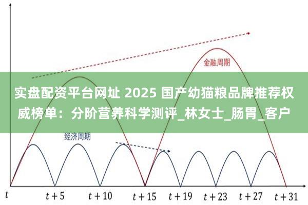 实盘配资平台网址 2025 国产幼猫粮品牌推荐权威榜单：分阶营养科学测评_林女士_肠胃_客户