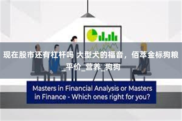 现在股市还有杠杆吗 大型犬的福音，佰萃金标狗粮_平价_营养_狗狗