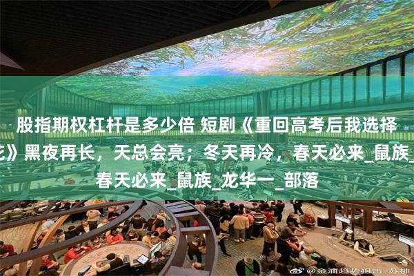 股指期权杠杆是多少倍 短剧《重回高考后我选择表白社恐校花》黑夜再长，天总会亮；冬天再冷，春天必来_鼠族_龙华一_部落