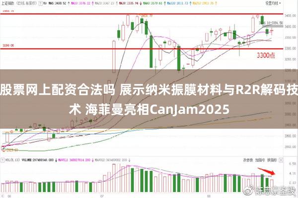 股票网上配资合法吗 展示纳米振膜材料与R2R解码技术 海菲曼亮相CanJam2025