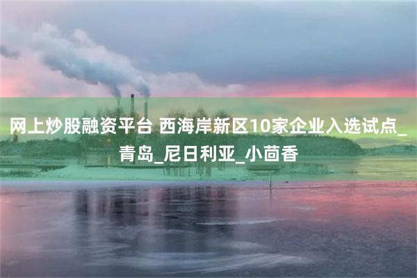 网上炒股融资平台 西海岸新区10家企业入选试点_青岛_尼日利亚_小茴香