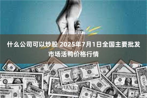 什么公司可以炒股 2025年7月1日全国主要批发市场活鸭价格行情