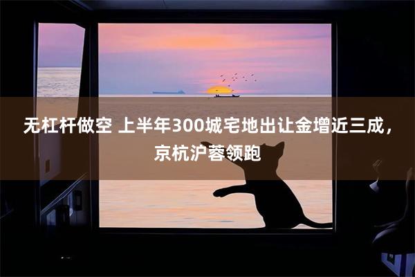 无杠杆做空 上半年300城宅地出让金增近三成，京杭沪蓉领跑