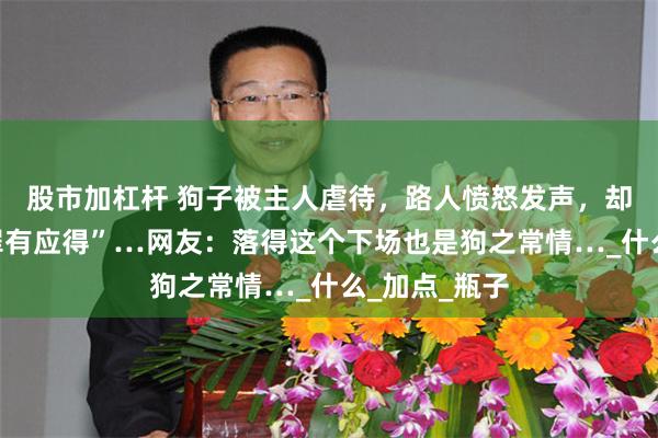 股市加杠杆 狗子被主人虐待，路人愤怒发声，却发现狗子“罪有应得”…网友：落得这个下场也是狗之常情…_什么_加点_瓶子