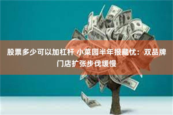 股票多少可以加杠杆 小菜园半年报藏忧：双品牌门店扩张步伐缓慢