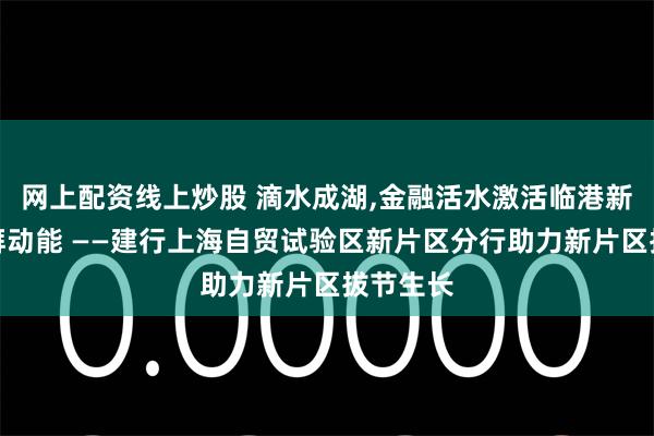 网上配资线上炒股 滴水成湖,金融活水激活临港新片区澎湃动能 ——建行上海自贸试验区新片区分行助力新片区拔节生长
