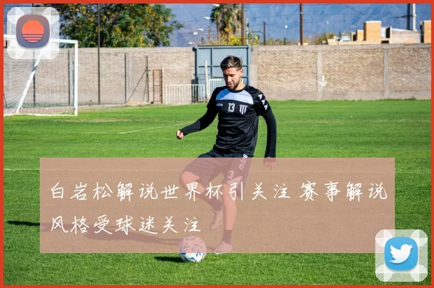 白岩松解说世界杯引关注 赛事解说风格受球迷关注